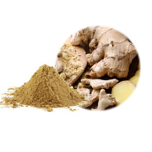 Natural Organic Pure Ginger Powder
